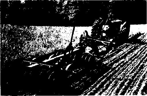PROCEEDINGS SIXTH GENERAL MEETING 291 In 1949 the auger-type plow was not used in the sugar beet experiments.