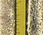 The analysis on the SAC board finish revealed that the wall of AuNi-finish track was not completely covered by the SAC solder, with % nickel detected at the track board
