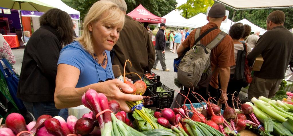 Healthy Eating & Food Security How can local governments support healthy eating and food security in communities?