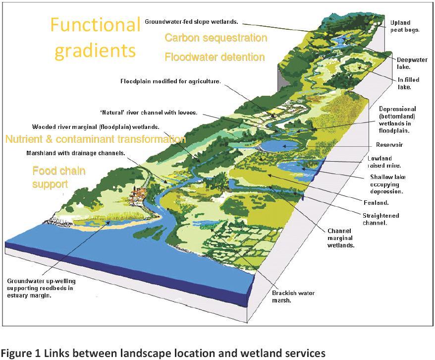 Landscape-scale interactions among ecosystems