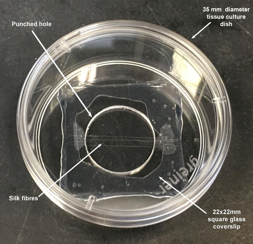 1. Supplementary methods Figure S1. Example of DAPF culture dish preparation. Photo of a customised tissue culture dish for testing cell growth on DAPF.