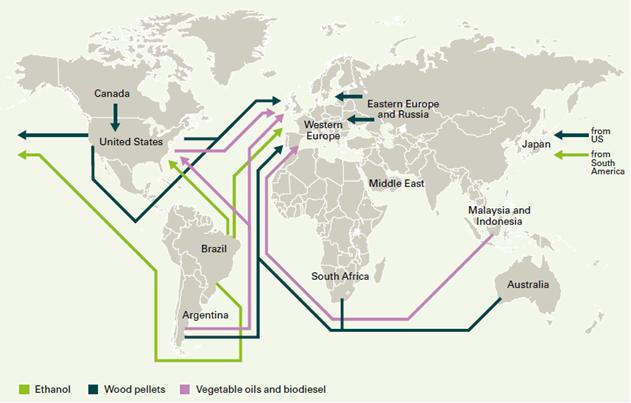 All routes lead to OECD countries BP-EBI (2014).