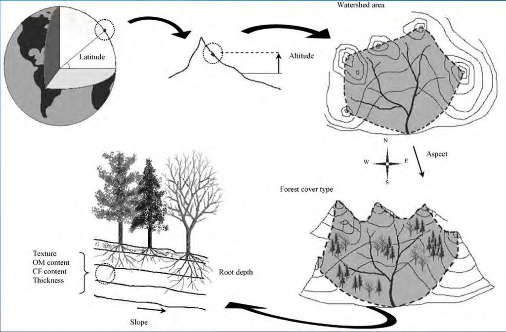 ForHyM: to determine soil moisture, temeprature and flow rates Forest Hydrology Modelling (ForHyM) Input: daily rain, snow and air temperature Output run off