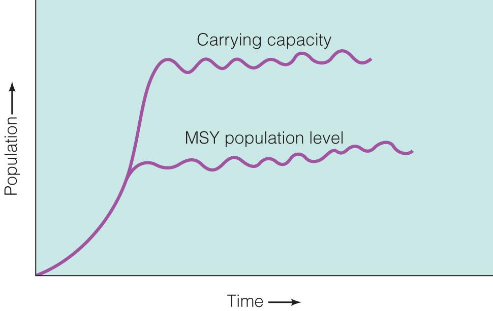 Maximum Sustainable Yield (MSY) MSY holds that the optimum way to exploit a renewable resource is to harvest as much as possible up to the point at which the harvest rate equals the renewable rate.