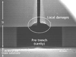 Pre-defined metal interlayer grounded to substrate supplies e s to