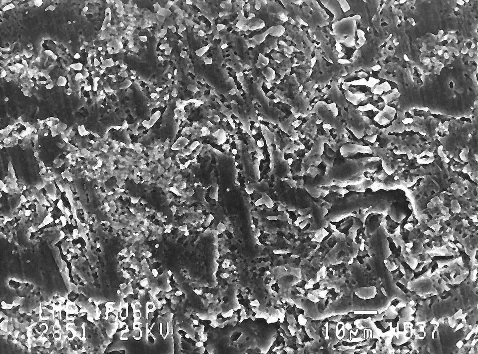 - Microstructural analysis The surface of the grey cast iron cylinder liner consisted of the standard honing topology. Hence, it is not shown here.