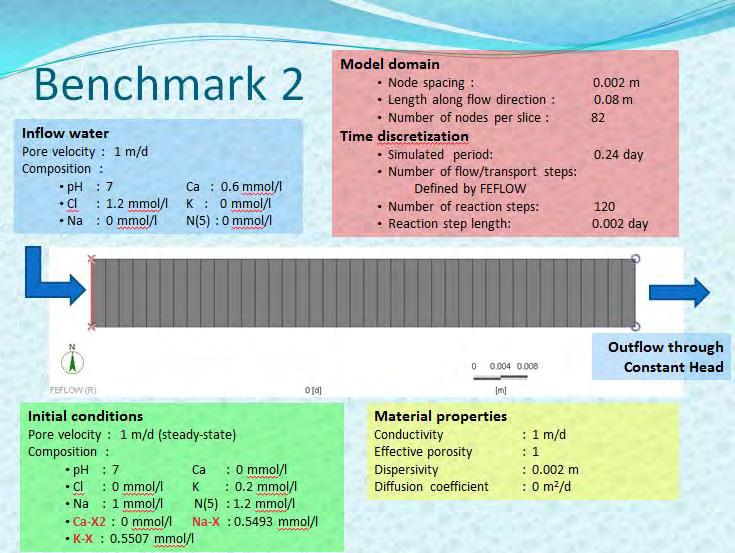 Figure 3 Parameters, boundary conditions and initial conditions used in benchmark 2. Considering the column length of.