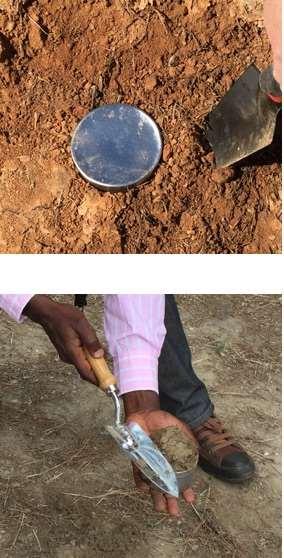 Remove Samples from the Soil Horizon Using a trowel or shovel, remove the can and the soil surrounding it.