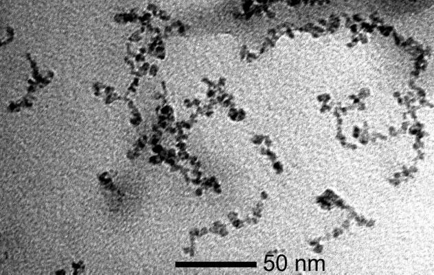 Y. GOSSUIN ET AL. 2 2. Materials and methods Nanoworms were prepared using a modification of the synthesis of dextran-coated iron oxide particles, as previously described (10). A 0.