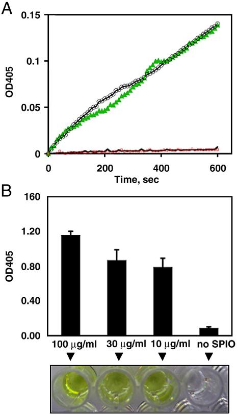 D. Simberg et al. / Journal of Controlled Release 140 (2009) 301 305 303 Fig. 2. Kallikrein activation in human and mouse plasma.