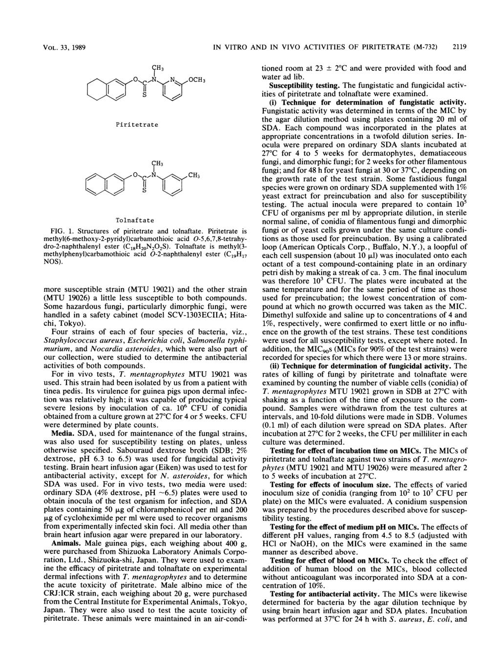 VOL. 33, 1989 IN VITRO AND IN VIVO ACTIVITIES OF PIRITETRATE (M-732) 2119 C DzO 0-C - II CH3 Piritetrate CH3 N OCH3, OC,N CH3 Tolnaftate FIG. 1. Structures of piritetrate and tolnaftate.