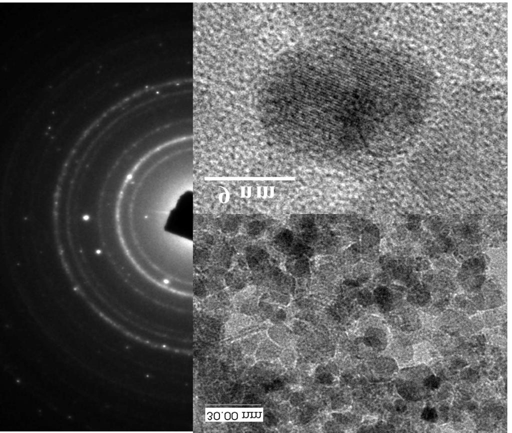 Microstructure and Magnetic Properties... 1617 3. Results and discussion The TEM images of the as prepared sample are shown in Fig. 1. The particles are roughly spherical and agglomerated.