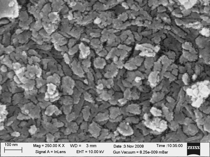 68 Figure 2 SEM image of electrodeposited iron/iron oxide nanoparticles. 3.