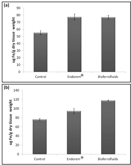 bioferrofluids and Endorem injection at a dose 23.5 mg Fe/kg body weight. Figure 5.
