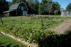 Ten Things to Consider for Starting Your Small Farm 2013 Small Fruit and Strawberry Schools & Southern Illinois Commercial Vegetable