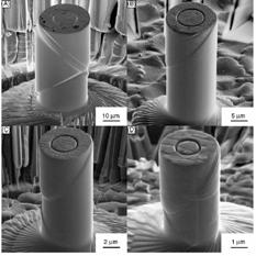 Sample fabrication is accomplished using focused ion beam milling to create cylindrical samples of uniform cross-section that remain attached to the bulk substrate at one end.