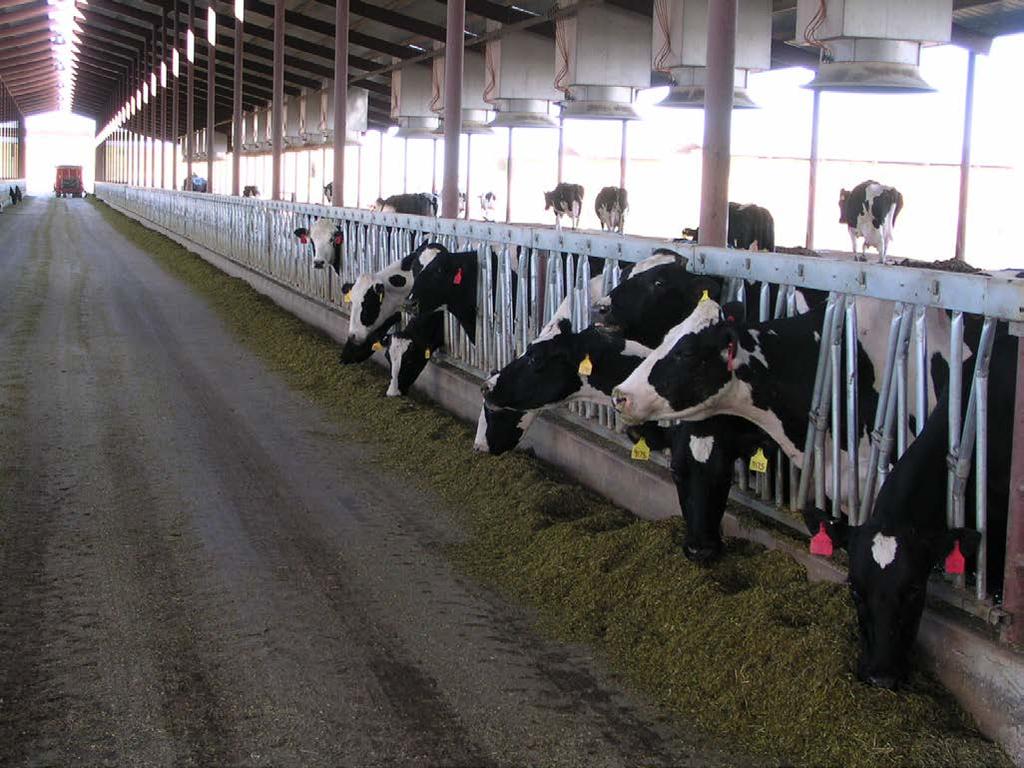 The increase in dairy operations in Arizona has led to