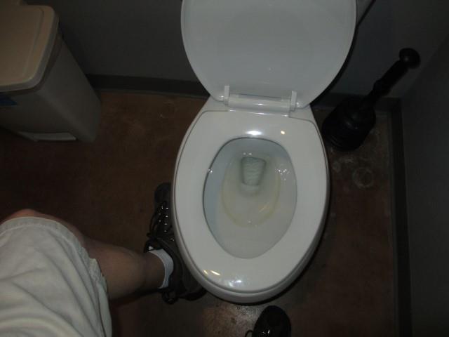 Repair Needed: We noted that the commode in the handicap stall in