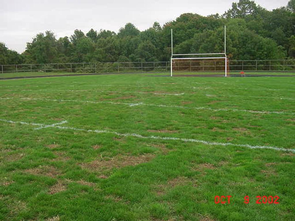 Intensely used athletic fields that receive inadequate nitrogen fertilization are prone to weed encroachment and soil erosion due to lack of recuperative ability, which can lead to unsafe playing