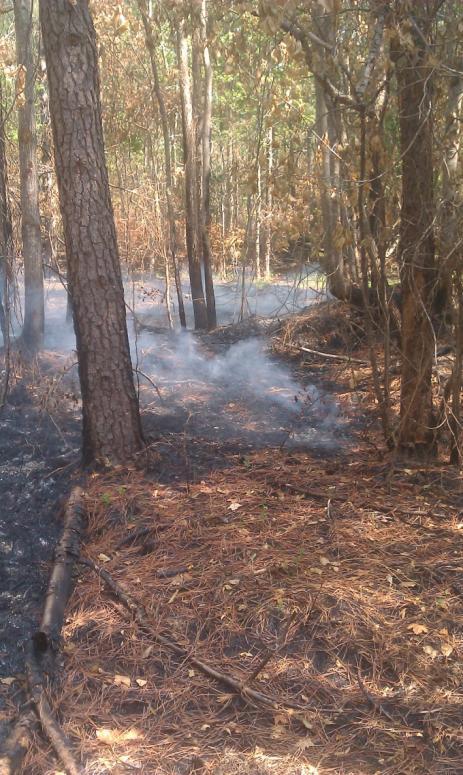 Post-burn management issues Windrows re-ignited