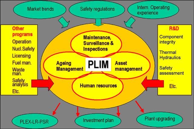 Figure 1 Approach to PLIM and interfaces with related programs The long term investment plan generated out of PLIM is the basic tool for managing the investment portfolio where all the technical