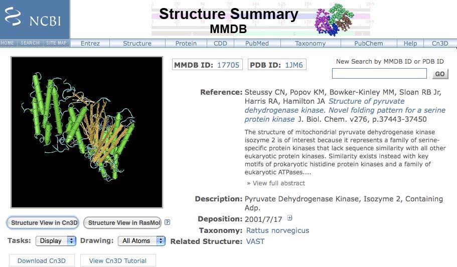 BIO 152 Principles of Biology III: Molecules & Cells Examining protein structures Note: This material is adapted from Web-based Bioinformatics Tutorials: Exploring Genomes by Paul Young and from Dr.