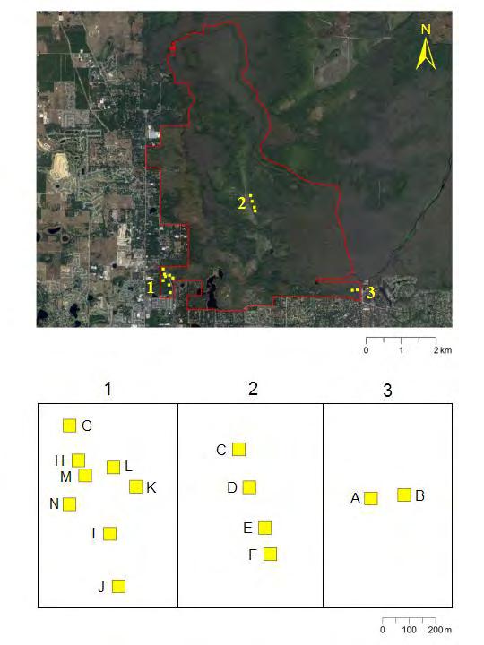 Figure 4-1. Location of each grid at Wekiwa Springs State Park (outlined in red).
