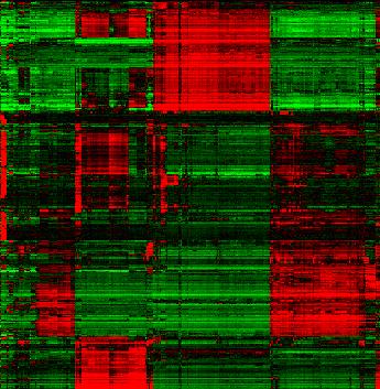 Gene Interaction A second cause for the formation of gene clusters in heatmaps: The genes