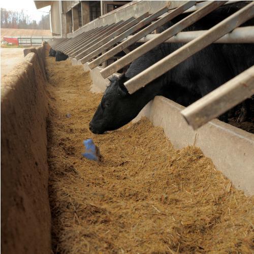 By contrast, the amount spent on feed purchases in Saskatchewan and Alberta in 2010 was 21 cents and 23 cents per dollar of expenses, respectively.