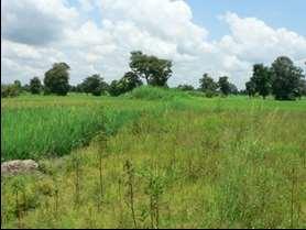 Similarly, due to lack of agricultural machinery, Nigeria has more than 12 million hectares of land potential for rice production, but only less