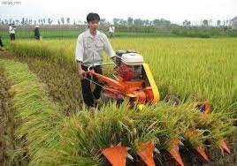 tions, original countries and selling prices of the rice reaper are shown in Table 1. It often has working width of 1.2 metres with cutting capacity of 0.25 hectare per hour (Fig.3.4).