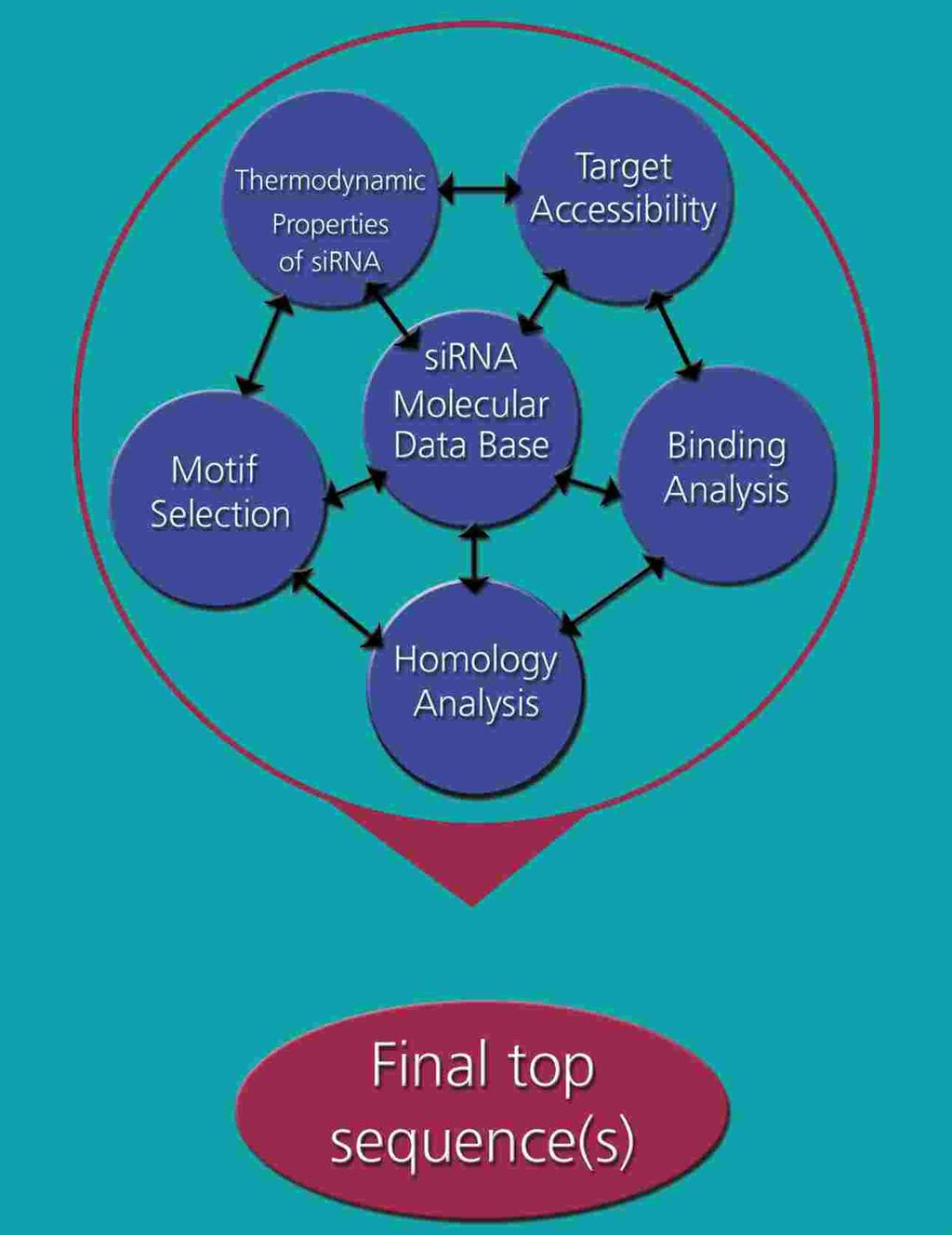 Biognostik s sirna Design 5 to continue: For more than a decade we have constantly collected data and refined the process of elucidating the inherent local mrna structure.