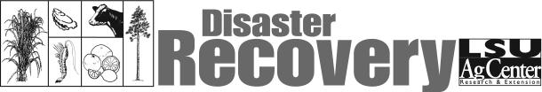 October 5, 2005 Update Assessment of Damage to Louisiana Agricultural, Forestry, and Fisheries Sectors By Hurricane Katrina On August 29, 2005, Hurricane Katrina hit the eastern Gulf Coast region of