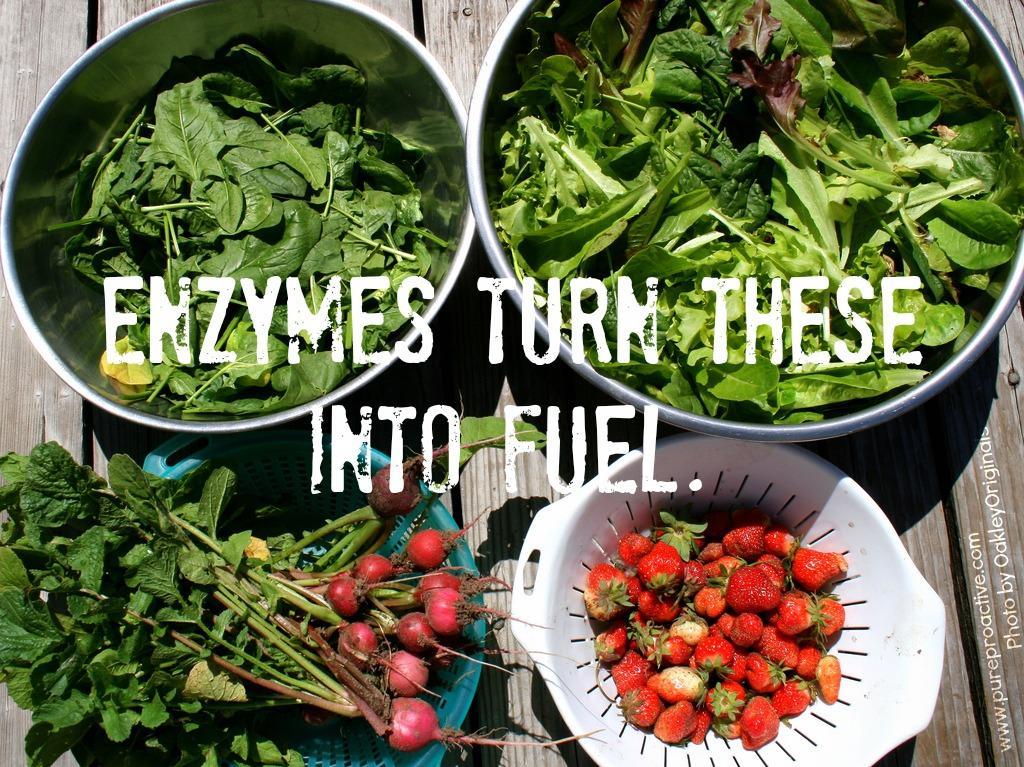 WHY ARE ENZYMES IMPORTANT?