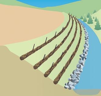 Protecting Stream Channels, Wetlands, and Lakes 63 Live willow or hardwood stakes driven through live wattles or rolls, trenched into slope, provide excellent stream bank protection.