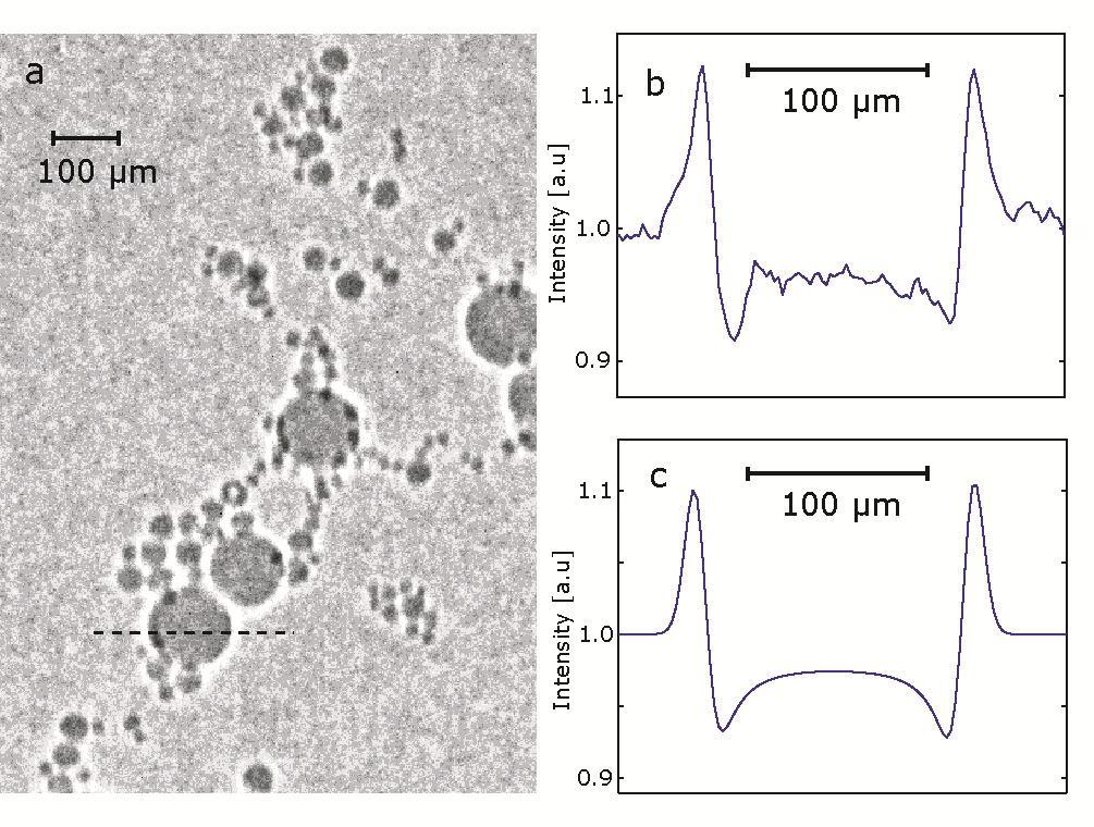 Phase Contrast Imaging I 0 F Δd Β δ