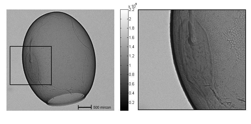 Phase Contrast Tomography Excillum MJXS Sealed tube Sample: Egg of