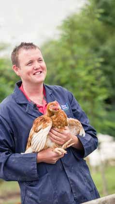 Working with over 800 poultry farmers in the UK dedicated to looking after our birds, plus decades of experience helping all of our farmers manage their businesses,