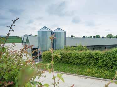 Our poultry farms boast some of the highest bio-security control measures to be found throughout Europe for control of this vital part of our livestock production.