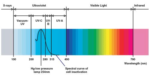 UV Light - General UVA Long Waves causes skin to wrinkle UVB