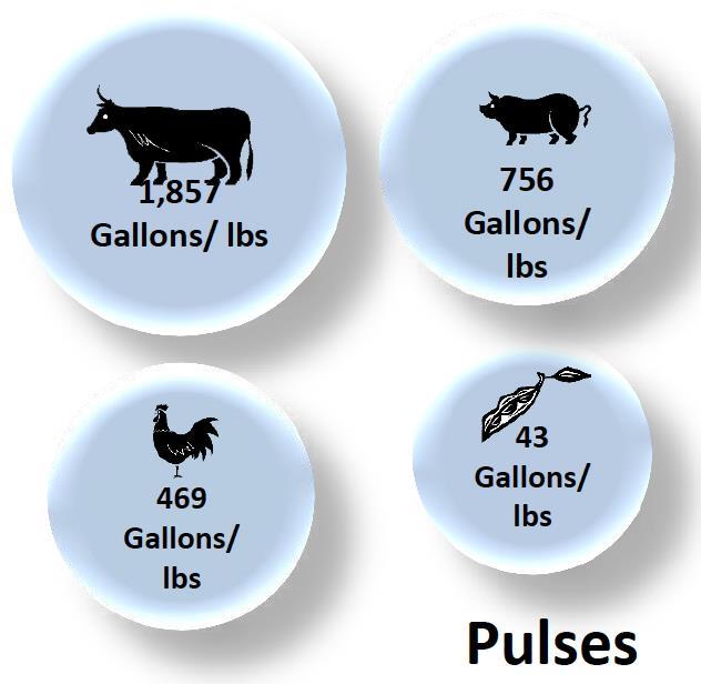 Beef * Pulses produce their own