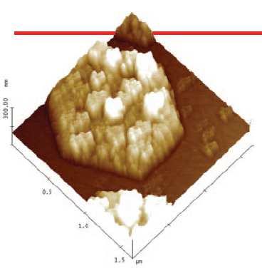 Figure 4 shows that the structure into which Hydroxyapatite grows on the FAP islands in the laboratory experiment, at ph = 8, is similar to the structure it has in natural dental enamel; it grows