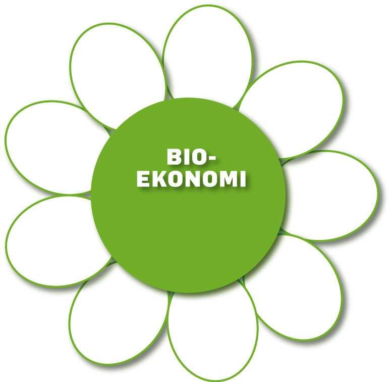 facilities and coordination of bioeconomy
