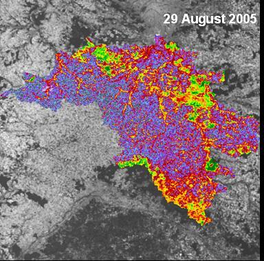 Evolution of GLCV in 2005 over the Beauce region (France) From the set of biophysical images, we can see the evolution of GLCV along the seasonal campaign: Winter start developing highlighted in red