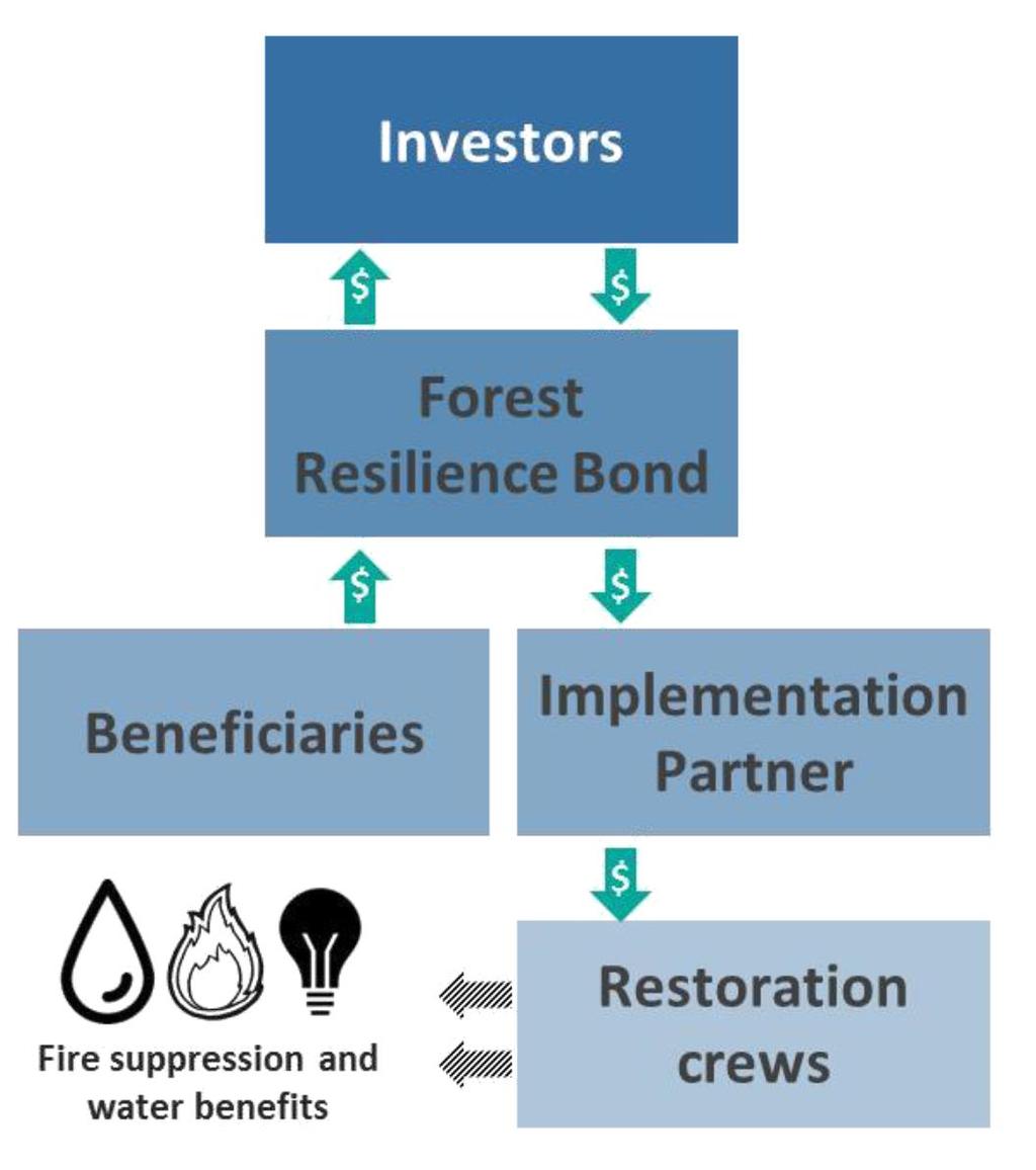 How can we increase the pace & scale of forest restoration?
