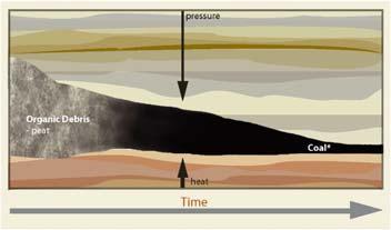 (coal mine gas Grubengas) Thermogenic methane is formed mainly during coalification at temperatures