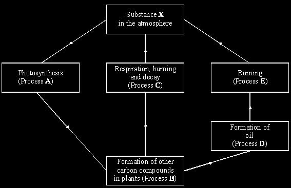 The diagram shows some processes in the carbon cycle. (i) What is the name of substance X?