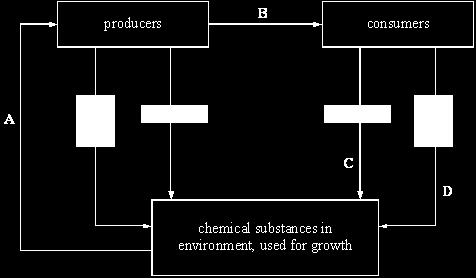 ... This process releases substances that can be used by other plants to.... (Total 4 marks) Q.