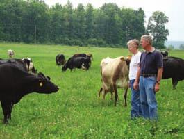 While many dairies have moved cattle into confinement facilities, the Wisconsin dairy industry includes an important and ever-growing group of producers who practice Management Intensive Grazing