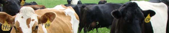 Feed and Manure on Grazing